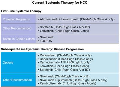 Improving Outcomes of Tyrosine Kinase Inhibitors in Hepatocellular Carcinoma: New Data and Ongoing Trials